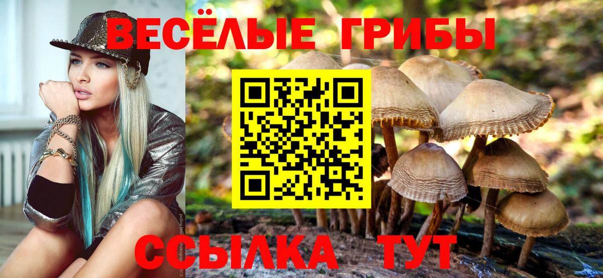 Галлюциногенные грибы мухоморы  Вход с VPN  Алексин 